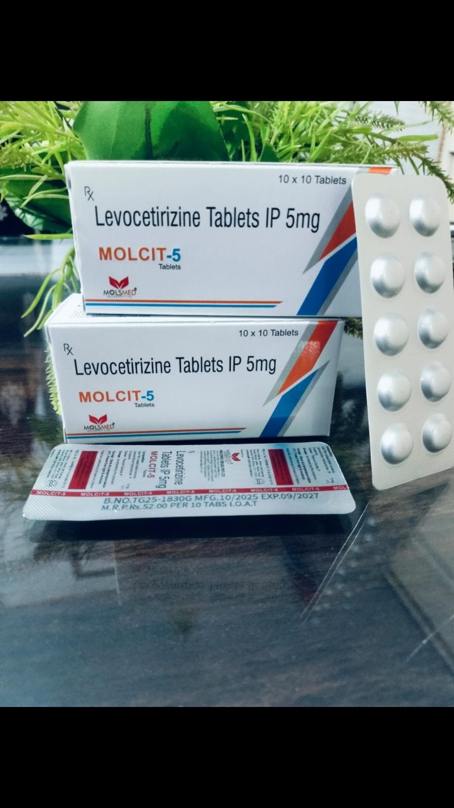 MOLCIT -5